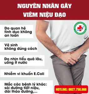 Nguyên nhân viêm niệu đạo ở nam giới