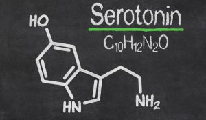 Hormone Serotonin cũng là nguyên nhân khiến nam giới bị xuất tinh sớm