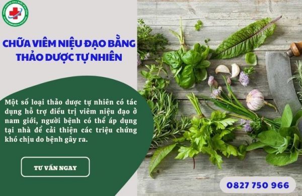 Chữa viêm niệu đạo bằng các loại thảo dược tự nhiên