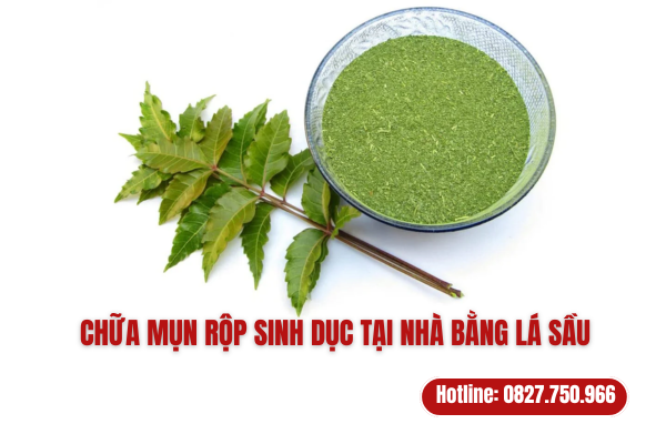 Chữa mụn rộp sinh dục bằng lá sầu