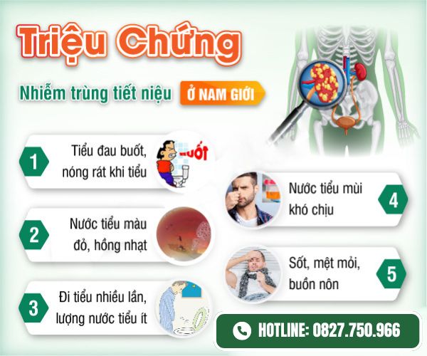 Nhiễm trùng đường tiết niệu - nguyên nhân gây chảy mủ dương vật